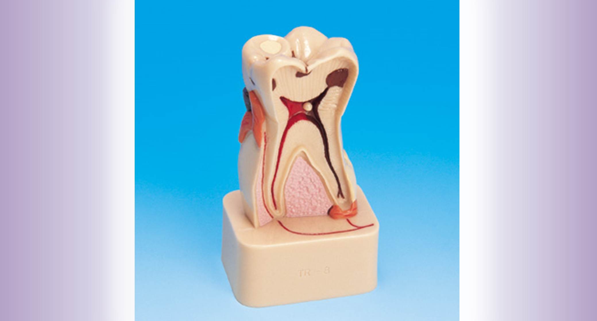 Tooth Disease widget